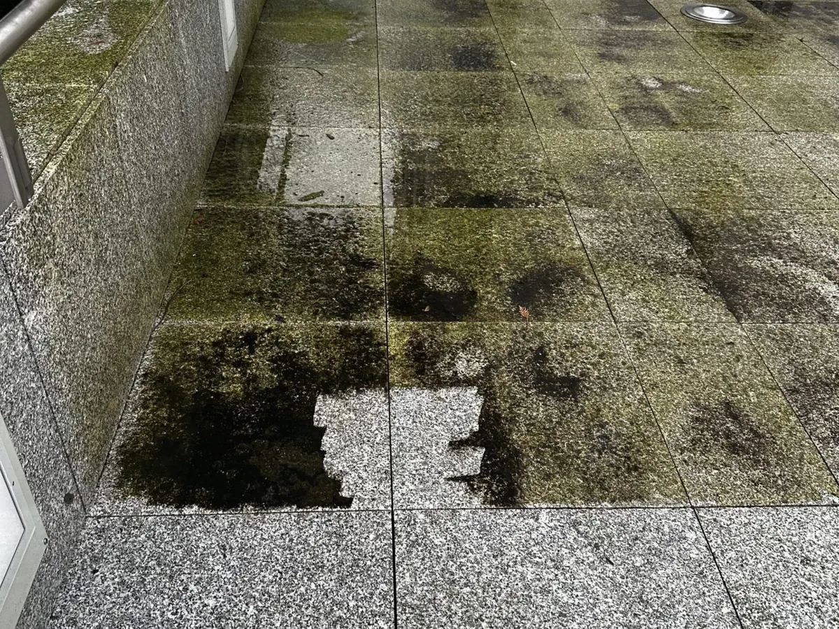 Terrasse mit Moos und Grünbelag vor der Reinigung